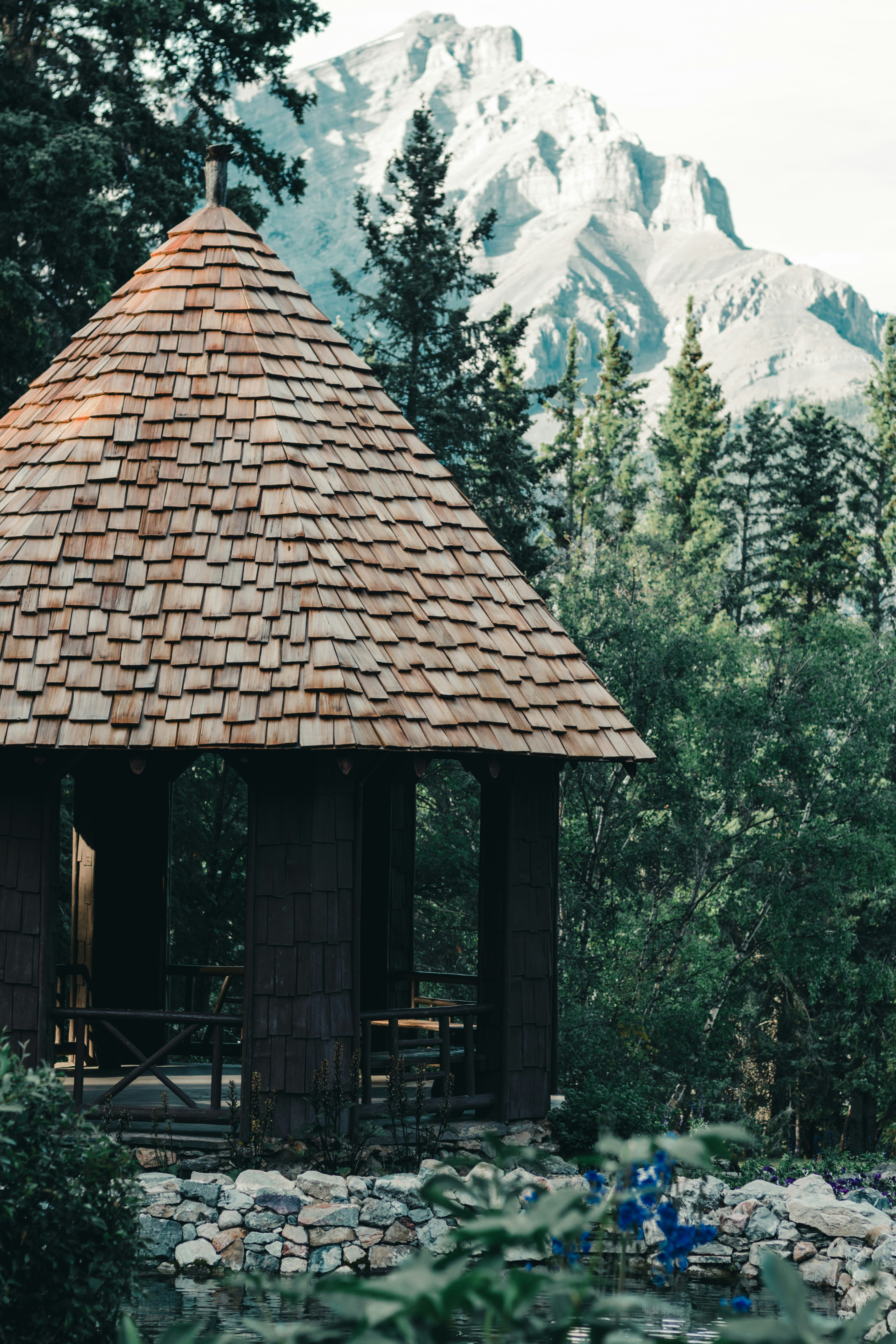 brown roof near green trees during daytime